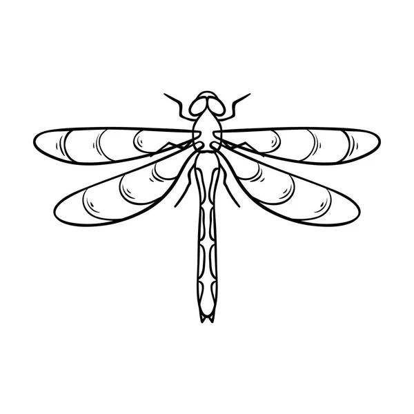 Icona libellula in stile contorno isolata su sfondo bianco. Insetti simbolo stock vettoriale illustrazione . — Vettoriale Stock