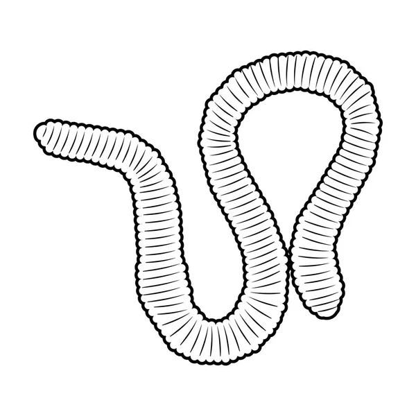 Иконка Земляного червя в стиле контура изолирована на белом фоне. Векторная иллюстрация символов насекомых . — стоковый вектор