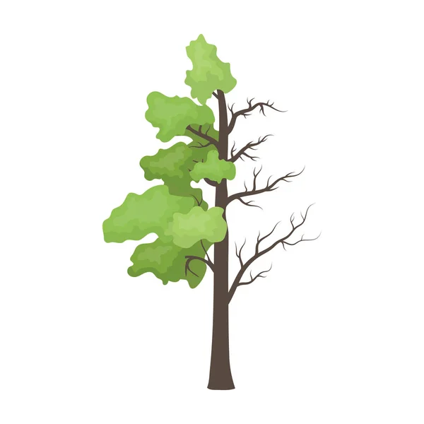 Árbol medio lleno de hojas verdes y medio seco icono en estilo de dibujos animados aislados sobre fondo blanco. Bio y ecología símbolo stock vector ilustración . — Archivo Imágenes Vectoriales