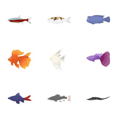 Akvaryum balık karikatür tarzı simgeleri ayarlayın. Akvaryum balık büyük toplama sembol stok illüstrasyon vektör