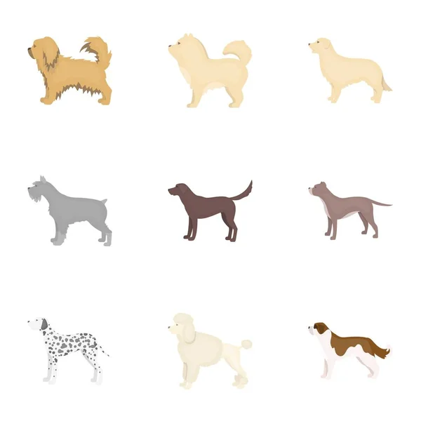 Las razas de perros establecen iconos en estilo de dibujos animados. Gran colección de razas de perros vector símbolo stock ilustración — Vector de stock