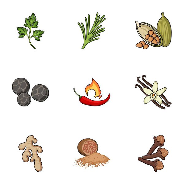 Herb and spices set icons in cartoon style. Big collection of herb and spices vector symbol stock illustration