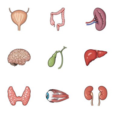 İnsan organlarını karikatür tarzı simgeleri ayarlayın. İnsan organlarını büyük toplama sembol stok illüstrasyon vektör