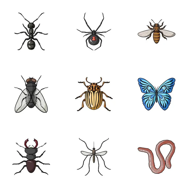 Los insectos establecen iconos en estilo de dibujos animados. Gran colección de insectos vector símbolo stock ilustración — Vector de stock