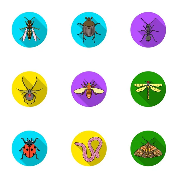 Insetos definir ícones em estilo plano. Grande coleção de insetos vetor símbolo estoque ilustração — Vetor de Stock