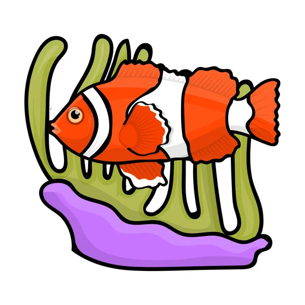 小丑鱼和海葵在白色背景上孤立的卡通风格的图标。澳大利亚象征股票矢量图. — 图库矢量图片