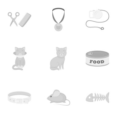 Kedi ekipman tek renkli bir tarzda Icons set. Büyük kedi donanımları vektör simge stok illüstrasyon topluluğu