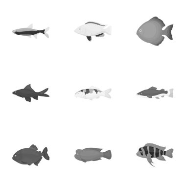 Akvaryum balık tek renkli bir tarzda Icons set. Akvaryum balık büyük toplama sembol stok illüstrasyon vektör