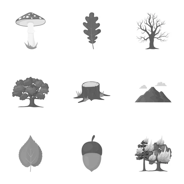 Forest stel pictogrammen in zwart-wit stijl. Grote verzameling van bos vector symbool stock illustratie — Stockvector