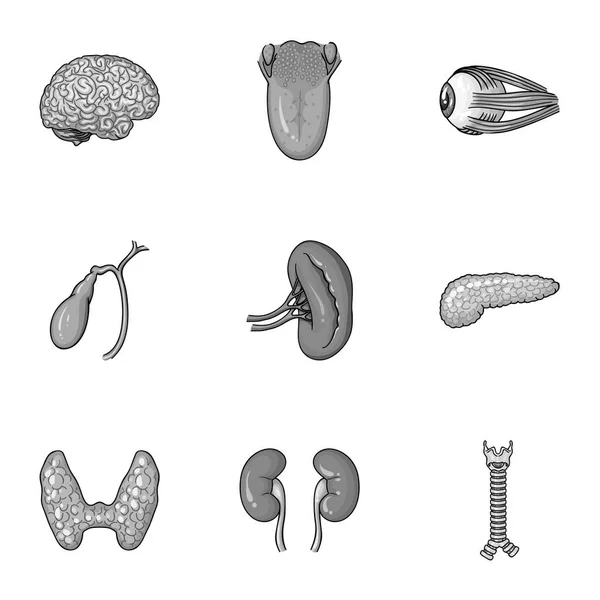 人間の臓器は、モノクロ スタイルでアイコンを設定します。人間の臓器の大きなコレクション ベクトル シンボル ストック イラスト — ストックベクタ