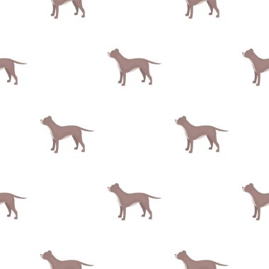 St. Bernard köpeği vektör simge desen tarzı web için