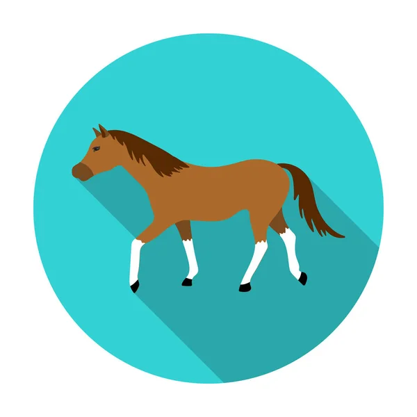 Ló elszigetelt fehér background lapos stílusú ikon. Hippodrome és ló szimbólum vektor stock illusztráció. — Stock Vector
