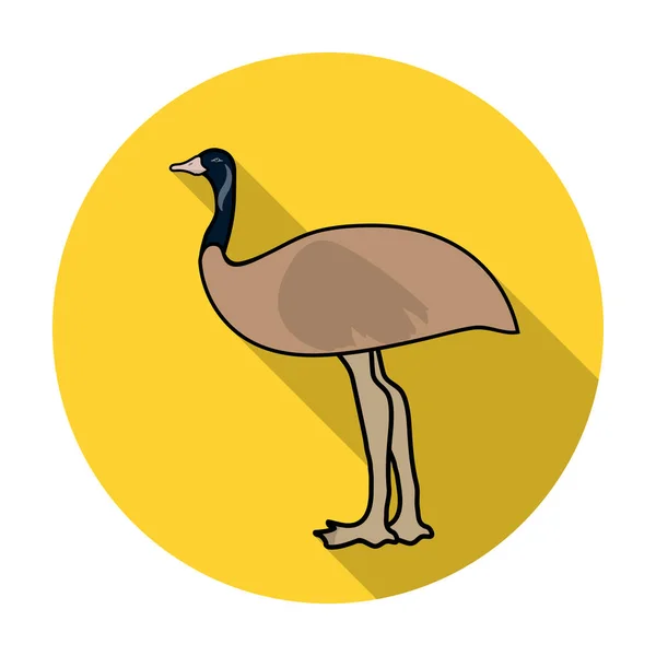 Icône Emu en style plat isolé sur fond blanc. Australie symbole illustration vectorielle de stock . — Image vectorielle