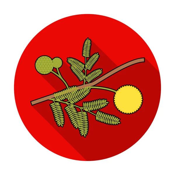 Mimosa geel bloem pictogram in vlakke stijl geïsoleerd op een witte achtergrond. Australië symbool voorraad vectorillustratie. — Stockvector