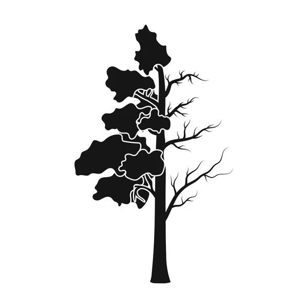 Tree halv full av gröna löv och halv torr ikonen i svart stil isolerad på vit bakgrund. Bio och ekologi symbol lager vektorillustration. — Stock vektor