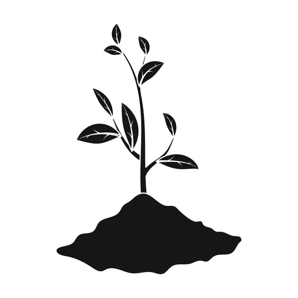 Gro-ikonen i svart stil isolerad på vit bakgrund. Bio och ekologi symbol lager vektorillustration. — Stock vektor
