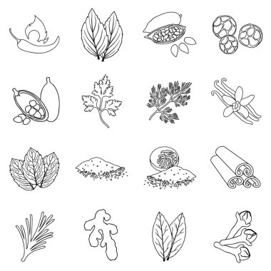 Ot ve baharat simgeleri anahat stilinde ayarlayın. Büyük koleksiyon ot ve baharat sembol stok illüstrasyon vektör