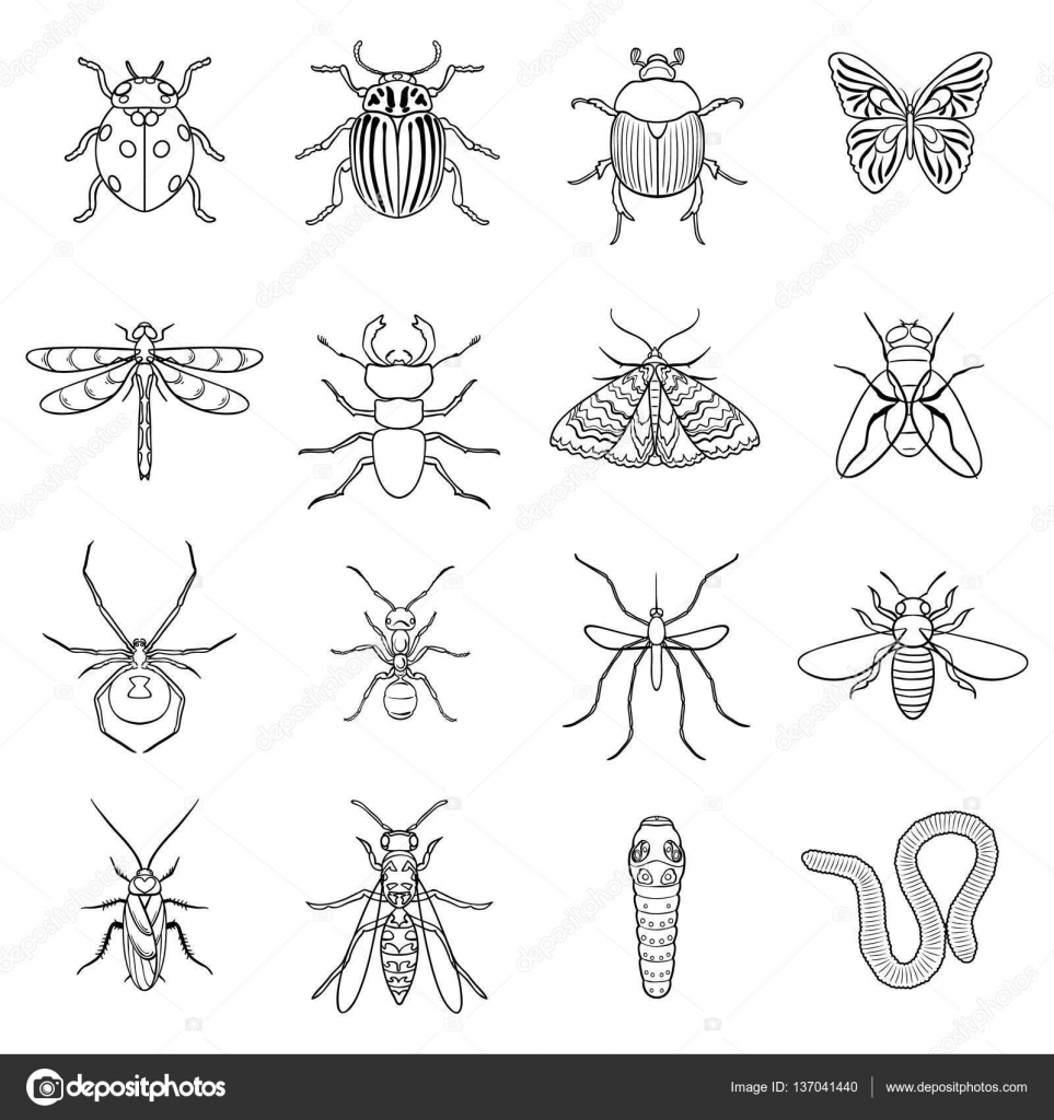 Insects set icons in outline style. Big collection of insects vector ...