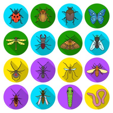 Böcekler simgeler düz stil ayarlayın. Böcekler büyük toplama sembol stok illüstrasyon vektör