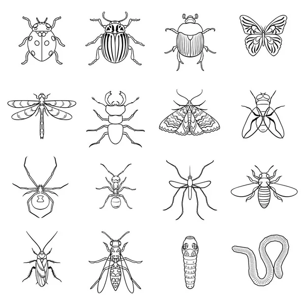 Insekten setzen Symbole in Umrissen. große Sammlung von Insekten Vektor Symbol Stock Illustration — Stockvektor