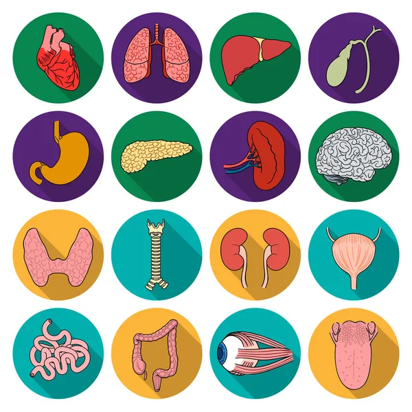 Órgãos humanos definir ícones em estilo plano. Grande coleção de órgãos humanos vetor símbolo estoque ilustração — Vetor de Stock
