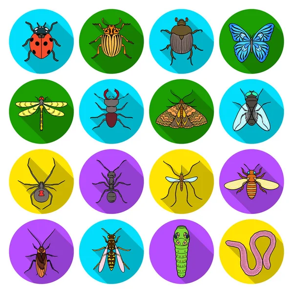 Les insectes placent les icônes dans un style plat. Grande collection d'insectes vecteur symbole illustration stock — Image vectorielle