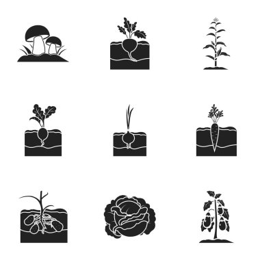 Bitki simgeler siyah tarzında ayarlayın. Bitki vektör simge stok çizim büyük toplama
