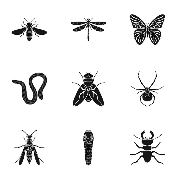 Насекомые устанавливают иконы в черном стиле. Большая коллекция векторных символов насекомых — стоковый вектор
