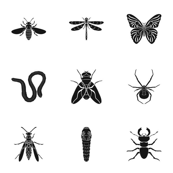 Insects set icons in black style. Big collection of insects vector symbol stock illustration