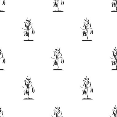 Bezelye simge siyah stil beyaz arka plan üzerinde izole içinde. Bitki deseni hisse senedi vektör çizim.