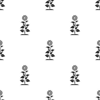 Ayçiçeği simge siyah stil beyaz arka plan üzerinde izole içinde. Bitki deseni hisse senedi vektör çizim.