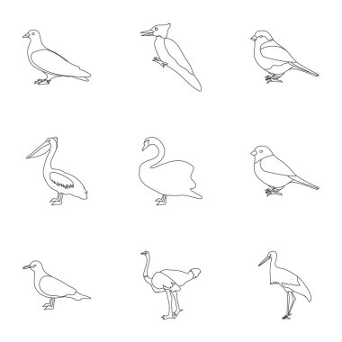 Kuş simgeleri anahat stilinde ayarlayın. Büyük kuş vektör simge stok illüstrasyon topluluğu