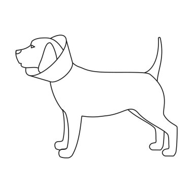 Köpek elizabethan yaka simgesi beyaz arka plan üzerinde izole anahat tarzı ile. Hayvan hastalıklarıyla ilgili klinik sembol stok vektör çizim.