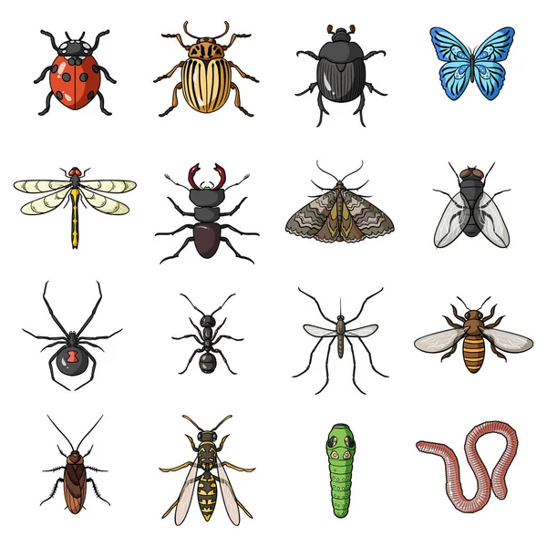 Insekter som ikoner i tecknad stil. Stor samling av insekter vektor symbol stock illustration — Stock vektor