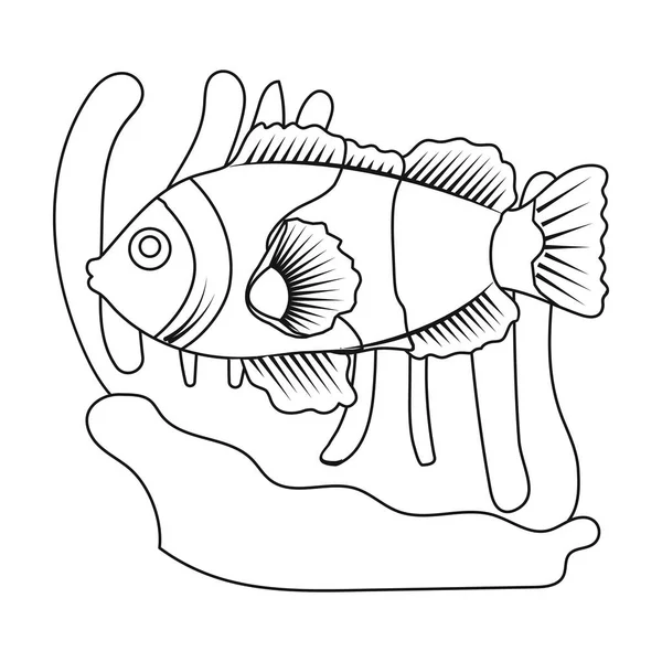 Ícone de peixe-palhaço e anêmona em estilo esboço isolado no fundo branco. Austrália símbolo estoque vetor ilustração . —  Vetores de Stock