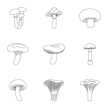 Mantar simgeleri anahat stilinde ayarlayın. Mantar vektör simge stok çizim büyük toplama
