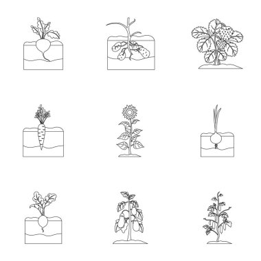 Bitki simgeleri anahat stilinde ayarlayın. Bitki vektör simge stok çizim büyük toplama