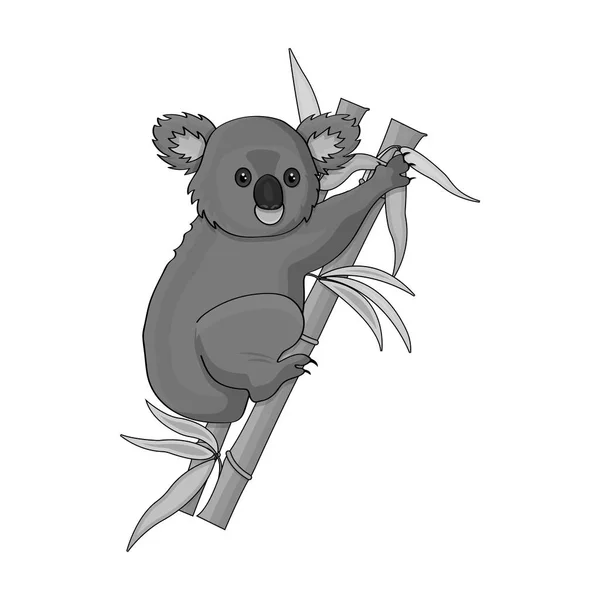 Ausztrál koala ikon elszigetelt fehér háttér, fekete-fehér stílusban. Ausztrália szimbólum vektor stock illusztráció. — Stock Vector