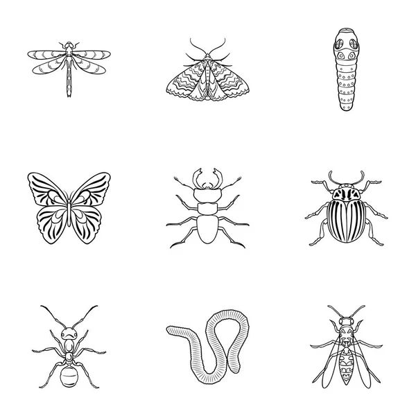 Serangga mengatur ikon dalam gaya garis besar. Koleksi besar dari simbol vektor gambar stok serangga - Stok Vektor