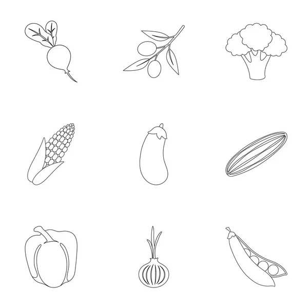 Las verduras establecen iconos en estilo de esquema. Gran colección de verduras vector símbolo stock ilustración — Vector de stock