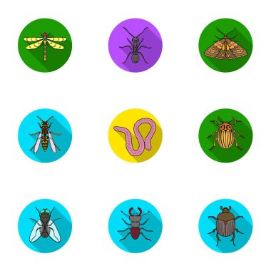 Böcekler simgeler düz stil ayarlayın. Böcekler büyük toplama sembol stok illüstrasyon vektör