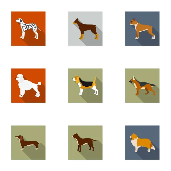 Races de chiens mis icônes dans le style plat. Grande collection de races de chiens vecteur symbole illustration de stock — Image vectorielle