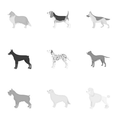 Köpek ırkları tek renkli bir tarzda Icons set. Köpek doğurmak büyük koleksiyonu sembol stok illüstrasyon vektör