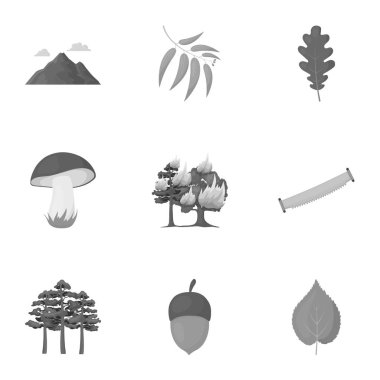 Orman, tek renkli bir tarzda Icons set. Orman vektör simge stok çizim büyük toplama