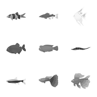 Akvaryum balık tek renkli bir tarzda Icons set. Akvaryum balık büyük toplama sembol stok illüstrasyon vektör