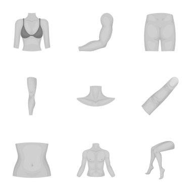 Vücut parçası tek renkli bir tarzda Icons set. Vücut vektör simge stok illüstrasyon parçası büyük toplama
