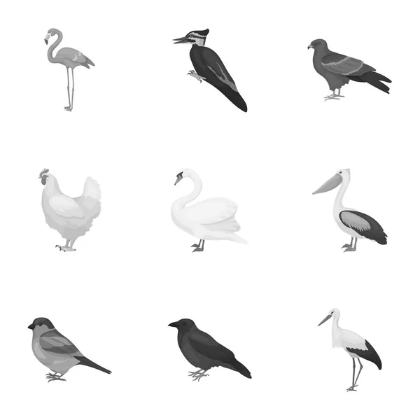Burung mengatur ikon dengan gaya monokrom. Koleksi besar dari gambar simbol vektor burung - Stok Vektor