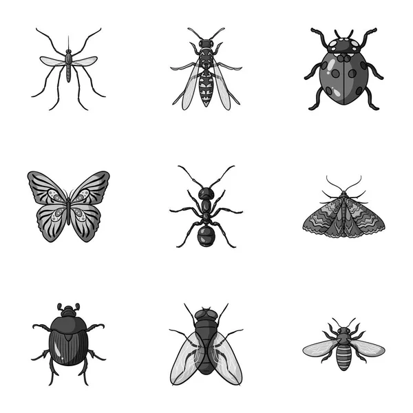 Insects set icons in monochrome style. Big collection of insects vector symbol stock illustration — Stock Vector