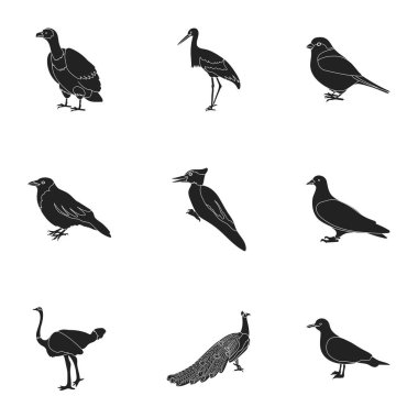 Kuş simge siyah stil ayarlayın. Büyük kuş vektör simge stok illüstrasyon topluluğu