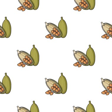 Kakao meyve simgesi beyaz arka plan üzerinde izole karikatür tarzı. Herb bir baharat sembol stok vektör çizim.